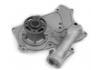 Water Pump:251003C120