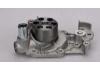 Water Pump:7701478924