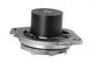 Water Pump:7762925