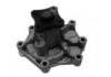 Water Pump:251004A710