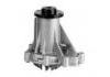 Water Pump:6052000820