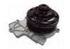 Water Pump:6512004101
