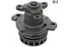 Water Pump:2101000Q2C