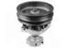 Water Pump:7784987
