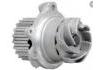 Water Pump:21126-1307010