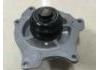 Water Pump:12583033