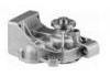 Water Pump:4823810