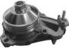 Water Pump:9803442480