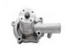 Water Pump:MD021490
