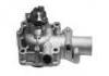 Water Pump:7701468342