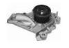 Water Pump:1611079135