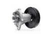 Water Pump:25186130