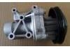 Water Pump:251002GTA0