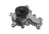 Water Pump:1610039555
