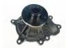 Water Pump:8982482551