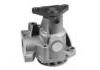 Water Pump:60810426