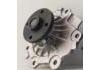 Water Pump:31293303