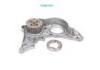 Oil Pump:1510011071