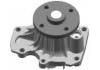 Water Pump:161000H010