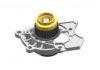 Water Pump:06H121010