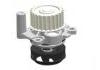 Water Pump:06A121011