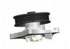 Water Pump:12681165