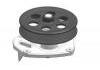 Water Pump:12663910