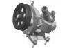 Water Pump:12663910