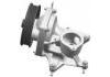 Water Pump:12663910