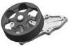 Water Pump:19200RFE003