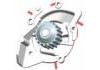 Water Pump:1613518580