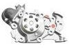 Water Pump:7701478923