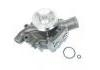 Wasserpumpe Water Pump:3116, 3126