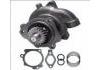 水泵 Water Pump:CUMMINS ISM, L10E SERIE M11