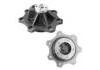 Water Pump:INTERNATIONAL/NAVISTAR Dt 408