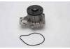 Water Pump:161000H040