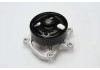 Water Pump:210103RC0A