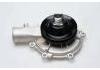 Wasserpumpe Water Pump:1334097