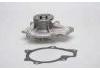 Water Pump:251002F000/251002F700