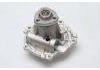 Water Pump:028121004