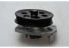 Water Pump:12653661