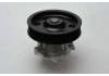 Water Pump:46815125