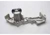 Water Pump:210100W025