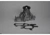 Water Pump:1610009260