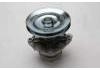 Water Pump:5983960