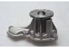Water Pump:251002E000