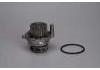 Water Pump:06B121011H