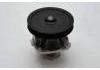 Water Pump:7617168