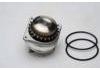 Water Pump:2101031U25