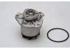 Water Pump:021121004